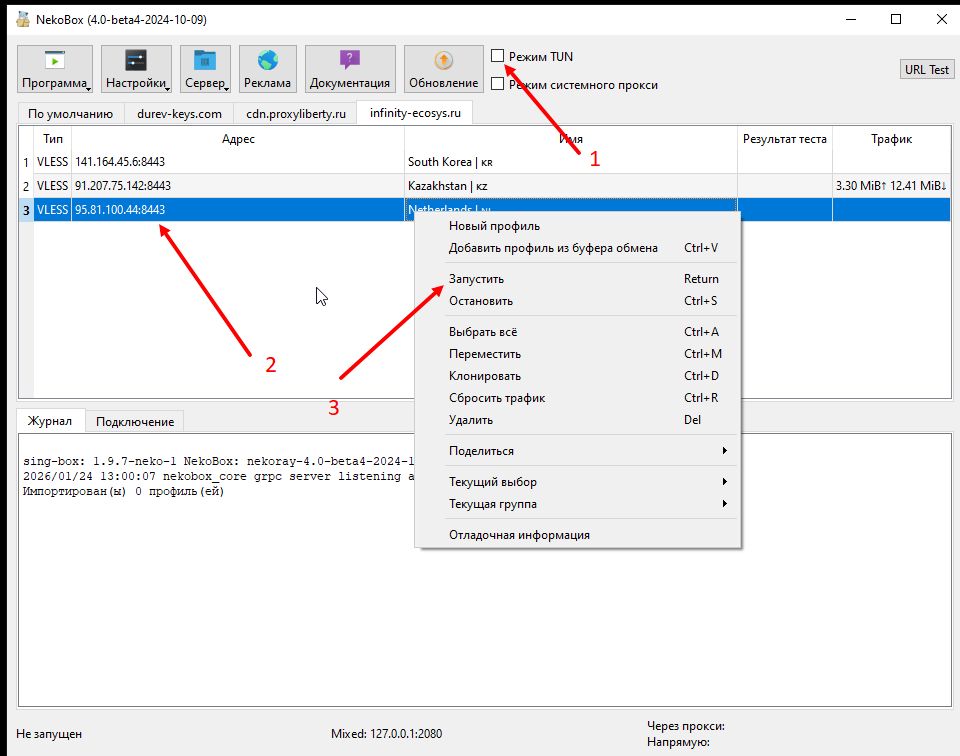 Активация сервера в NekoBox